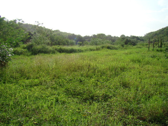 Antigua Vaquería